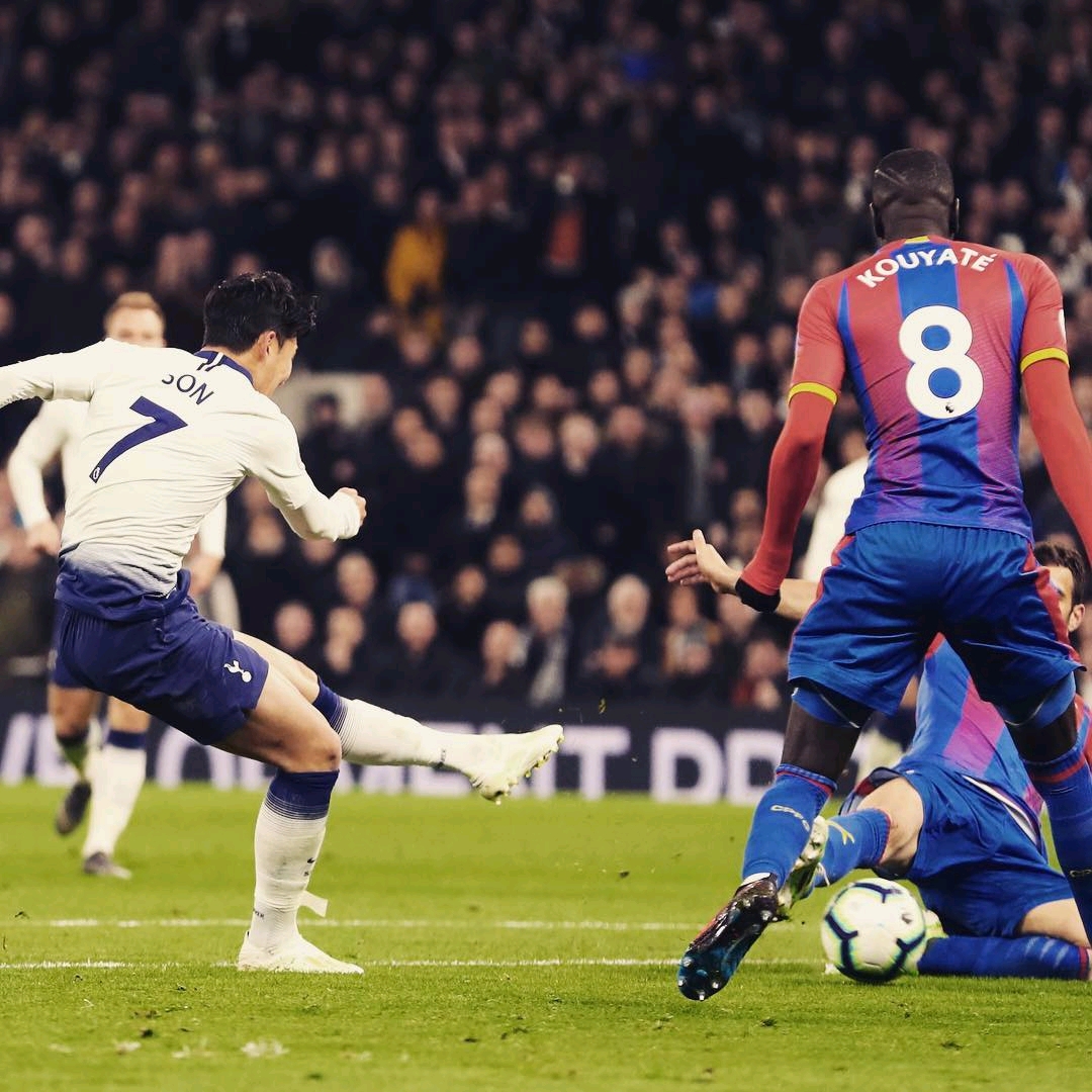 森林是我第 森林是我第