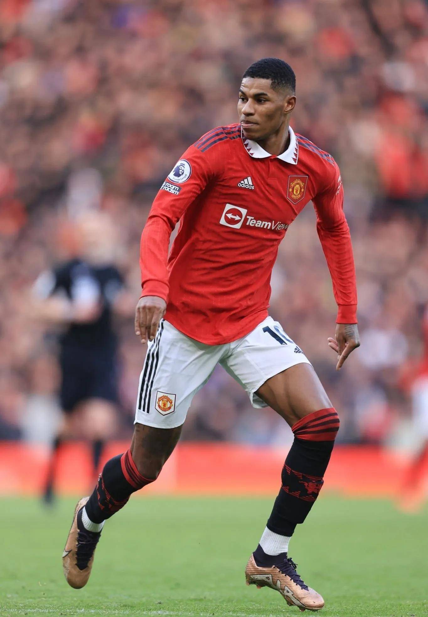 冠军队伍中 冠军队伍中